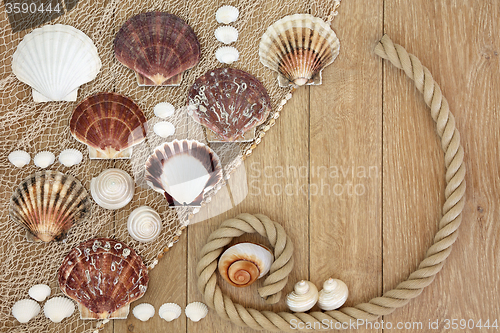 Image of Sea Shell Abstract