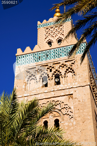 Image of palm in maroc africa  minaret religion and the blue     sky