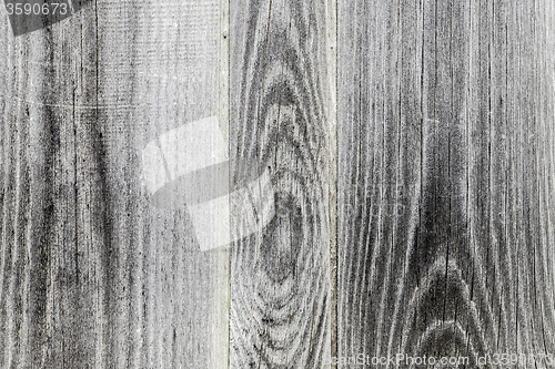 Image of Texture of wood background closeup