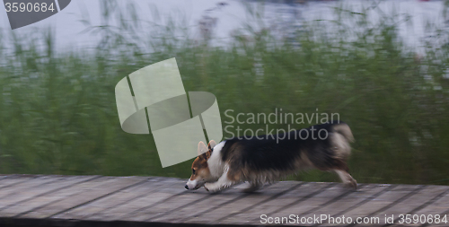 Image of running on the jetty