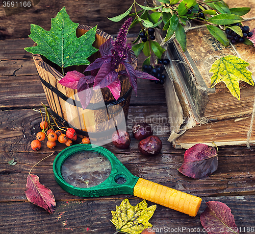 Image of still life autumn time