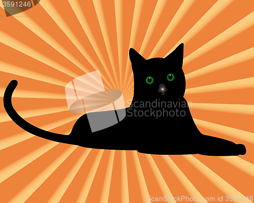 Image of black cat with green eyes