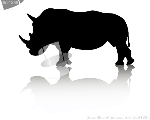 Image of rhino animal