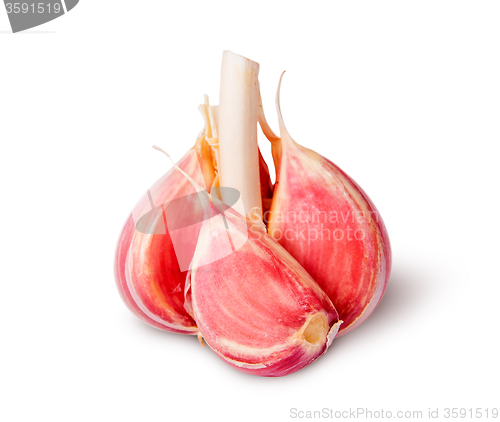 Image of Half head of garlic and garlic clove