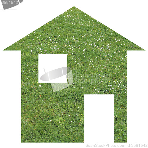 Image of Grass house