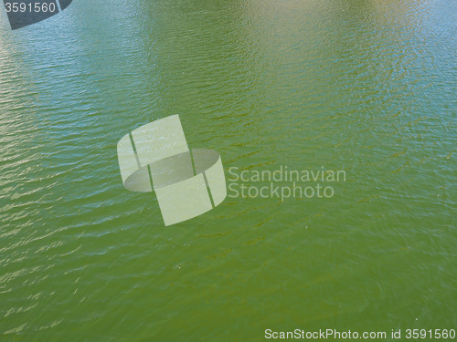 Image of Green water background