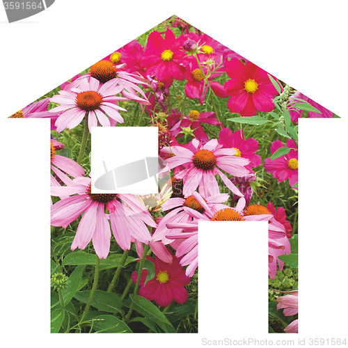 Image of Flower house