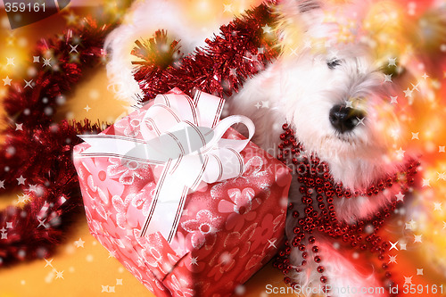 Image of Santa claus