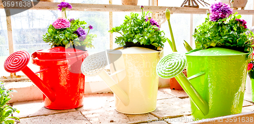 Image of Garden - Watering can