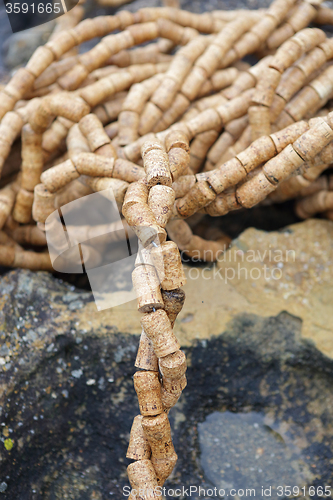 Image of Sculpture by the Sea - Twist of Fate