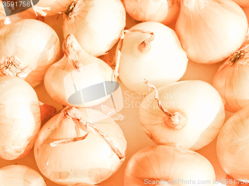 Image of Retro looking Onions