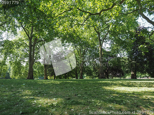 Image of St James Park in London