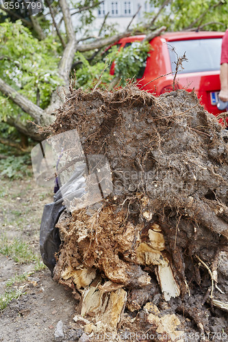 Image of Car smashed by high winds