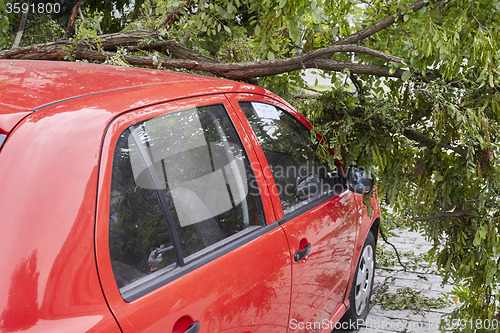 Image of Car smashed by high winds