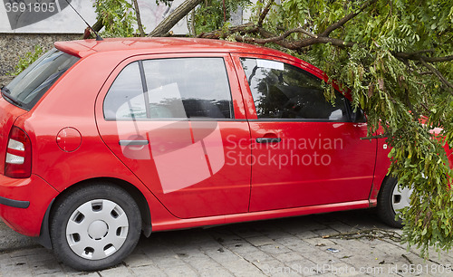 Image of Car smashed by high winds