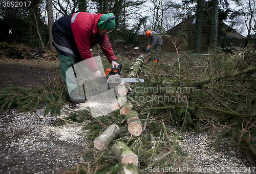 Image of Sawing firewood