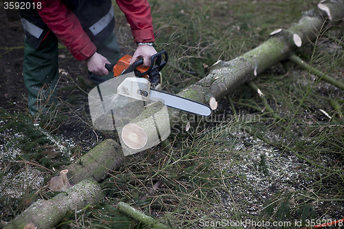 Image of working with chainsaw