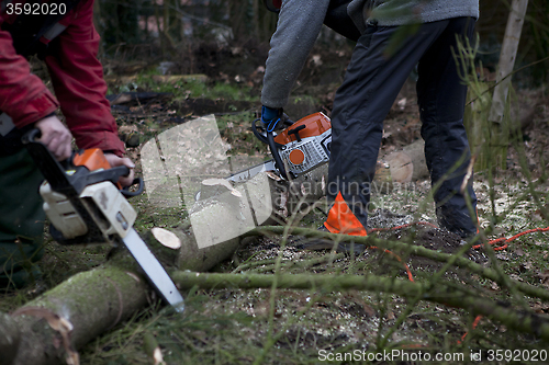 Image of working with chainsaw