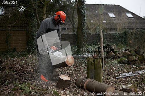 Image of to cut a tree