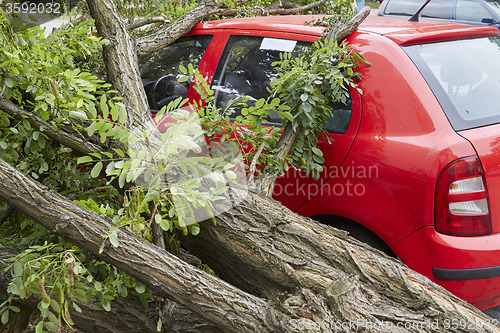 Image of Car smashed by high winds