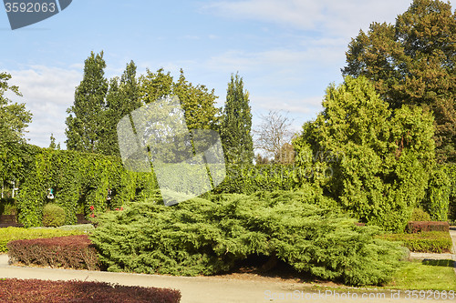Image of Summer garden in park