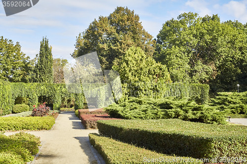 Image of Summer garden in park