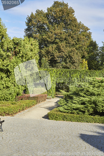 Image of Summer garden in park