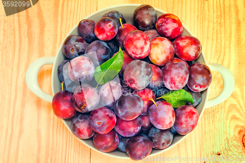 Image of Large plum in a ceramic vase on the table.