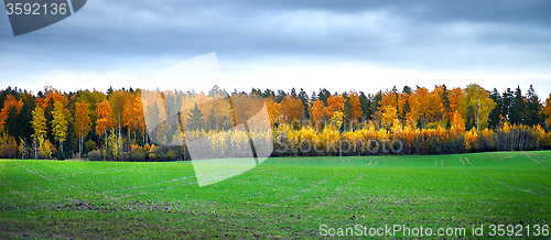 Image of Autumn landscape