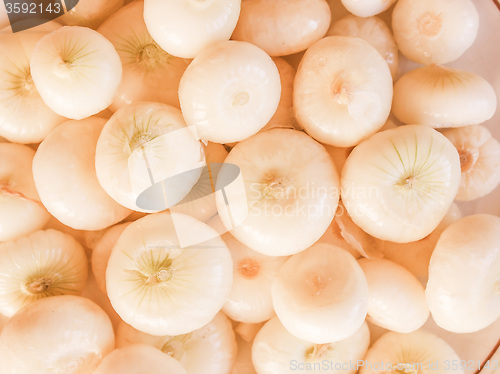 Image of Retro looking Onions