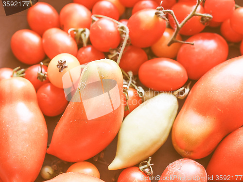 Image of Retro looking Tomato vegetable