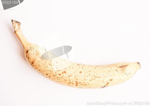 Image of Retro looking Banana fruit