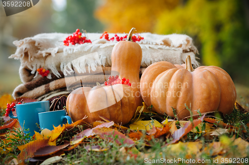 Image of Autumn thanksgiving still life