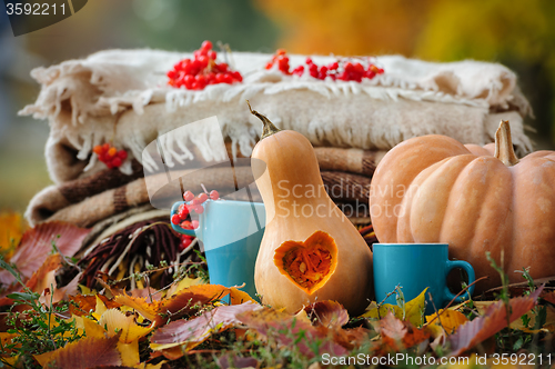 Image of Autumn thanksgiving still life