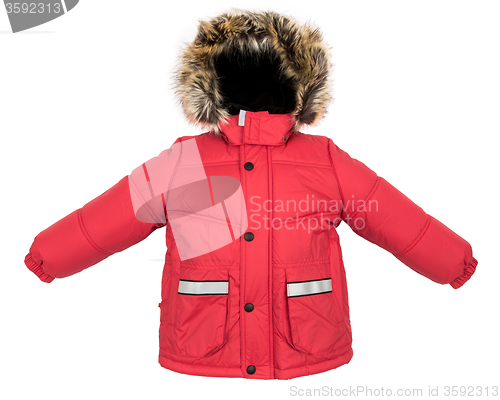 Image of Women winter jacket