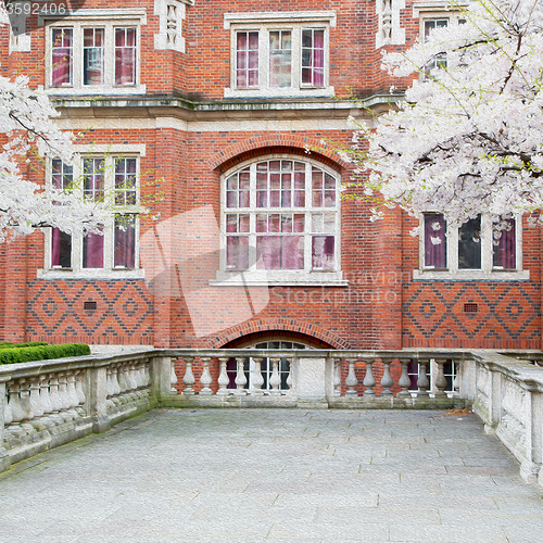 Image of tree  window in europe london  red brick wall     and      histo
