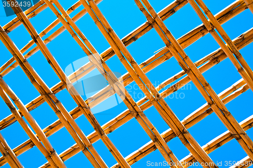 Image of morocco abstract bamboo  sky