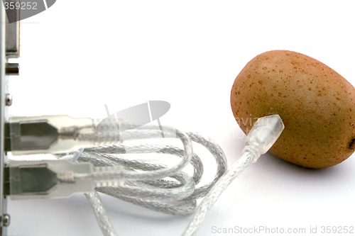 Image of The kiwifruit connected through usb cable