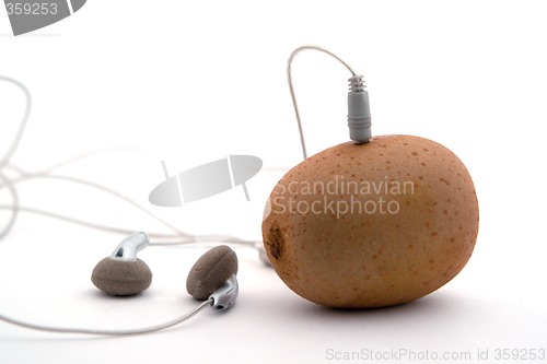 Image of The kiwifruit - music player 1