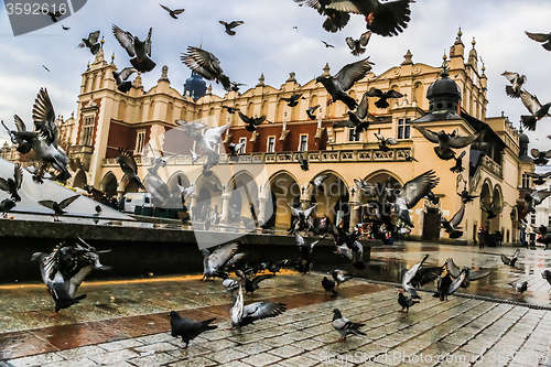 Image of A lot of doves in Krakow old city.