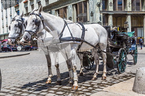 Image of Traditional coach (Fiaker) today traveling tourists in Vienna, A