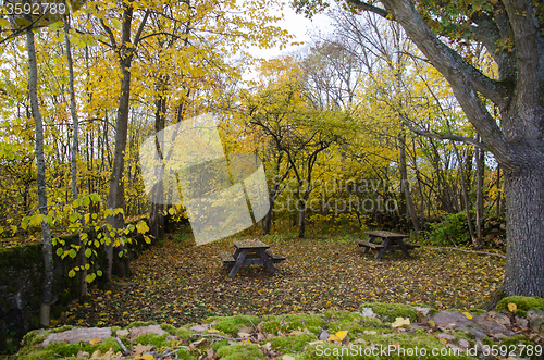 Image of Autumnal resting place