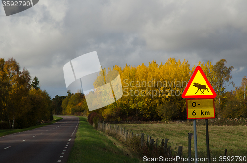 Image of Moose warning sign