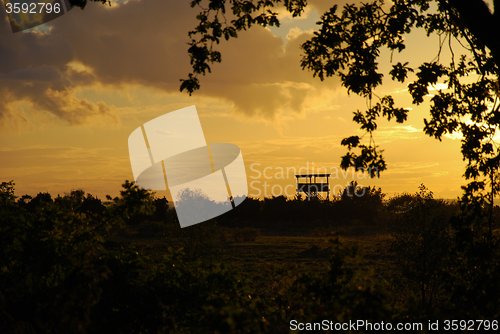 Image of Bird watching tower