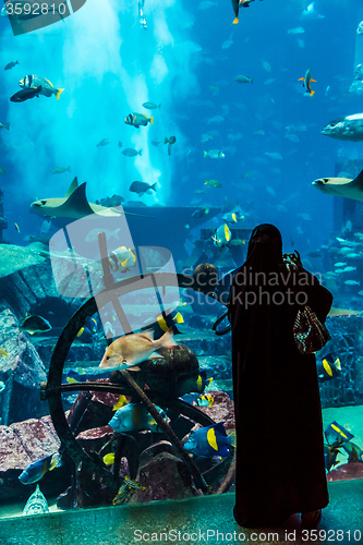 Image of Huge aquarium in a hotel Atlantis in Dubai on the Palm islands