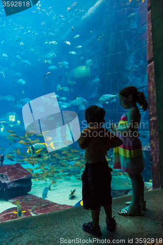 Image of Huge aquarium in a hotel Atlantis in Dubai on the Palm islands