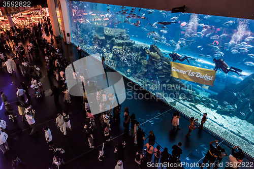 Image of Largest aquarium of the world in Dubai Mall