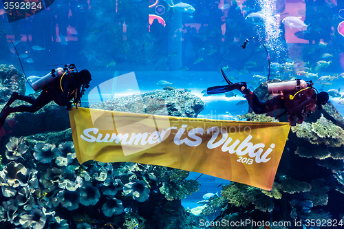 Image of Largest aquarium of the world in Dubai Mall