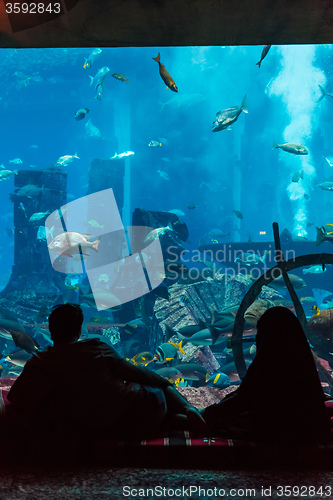 Image of Huge aquarium in a hotel Atlantis in Dubai on the Palm islands