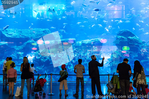 Image of Largest aquarium of the world in Dubai Mall